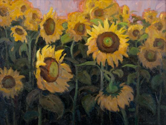 Sunflower Riot